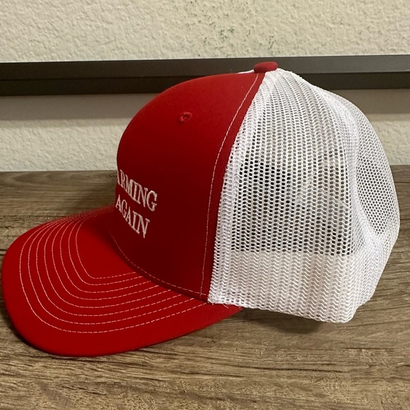 Hat - Picture 2 of 3